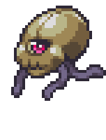 Squidly